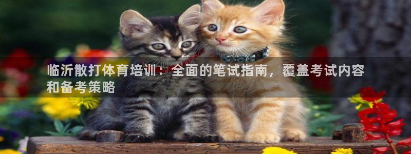 欧陆娱乐怎么注册帐号啊：临沂散打体育培训：全面的笔试