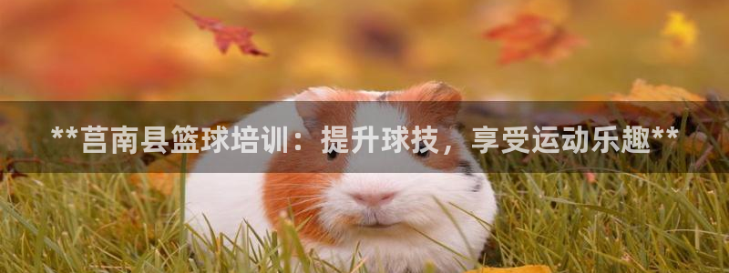 欧陆娱乐的故事：**莒南县篮球培训：提升球技，享受运