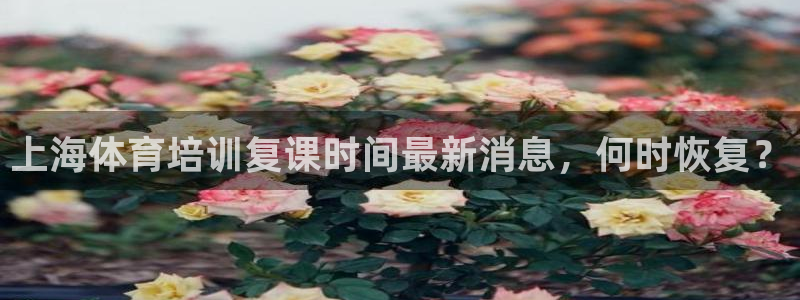 欧陆娱乐平台咋样赚钱的：上海体育培训复课时间最新消息