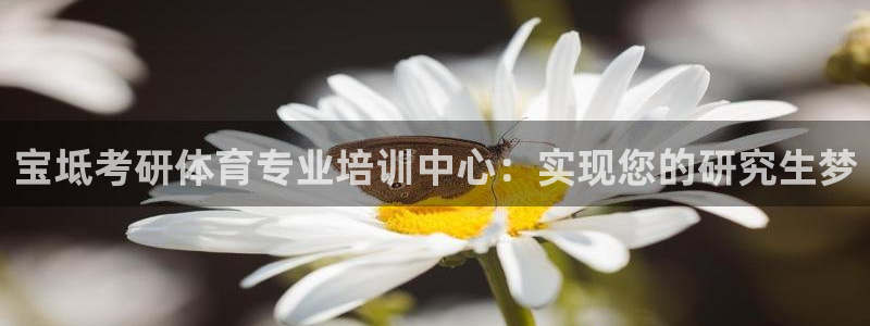欧陆娱乐打什么方案赚钱：宝坻考研体育专业培训中心：实