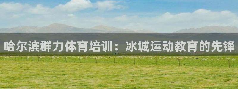 欧陆娱乐挂机项目有哪些：哈尔滨群力体育培训：冰城运动