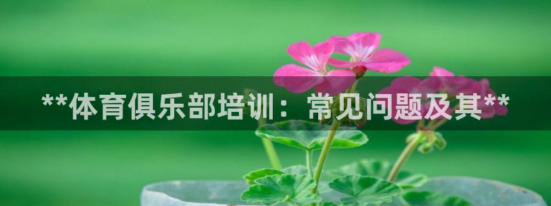 欧陆娱乐注册链接安全吗可靠吗：**体育俱乐部培训：常