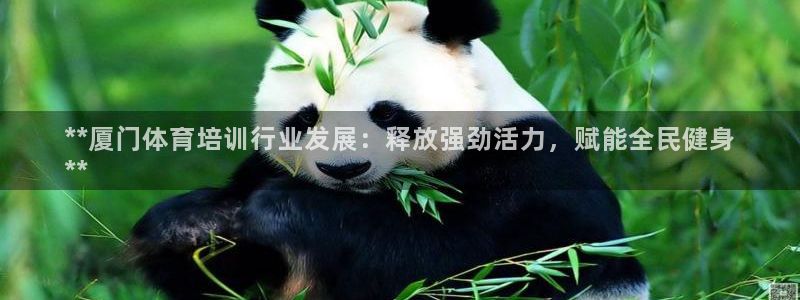 欧陆娱乐平台登录不上去怎么回事：**厦门体育培训行业