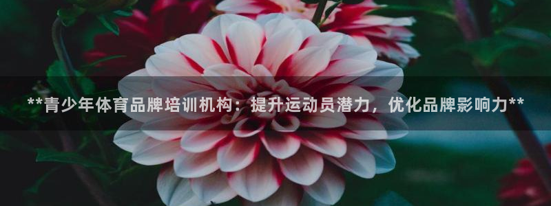 欧陆娱乐线路测速：**青少年体育品牌培训机构：提升运