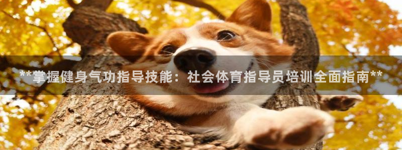 欧陆娱乐平台登录不上去：**掌握健身气功指导技能：社