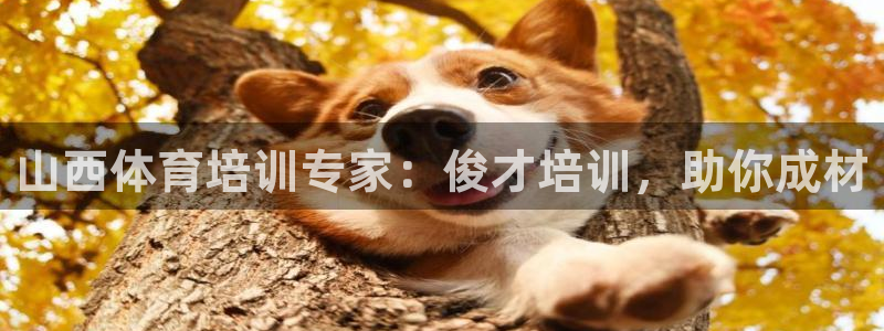 欧陆娱乐累计盈利多少就会被劝退呢：山西体育培训专家：
