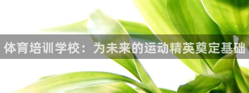 欧陆娱乐公司产品介绍大全：体育培训学校：为未来的运动