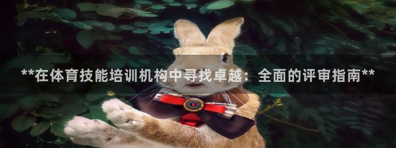 欧陆游戏平台：**在体育技能培训机构中寻找卓越：全面