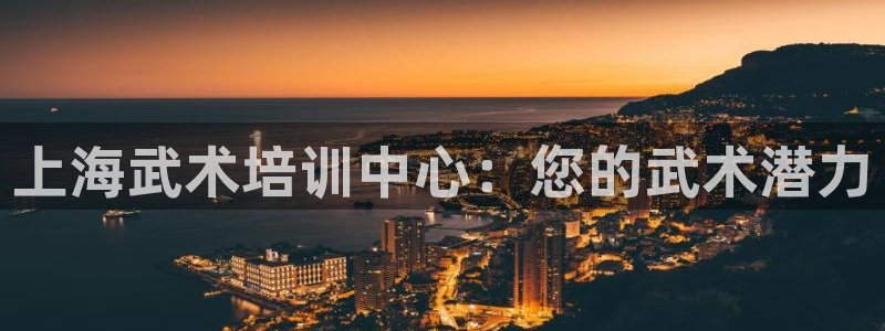 欧陆娱乐天富主管：上海武术培训中心：您的武术潜力