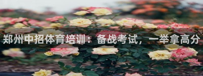 欧陆娱乐登录注册平台下载：郑州中招体育培训：备战考试