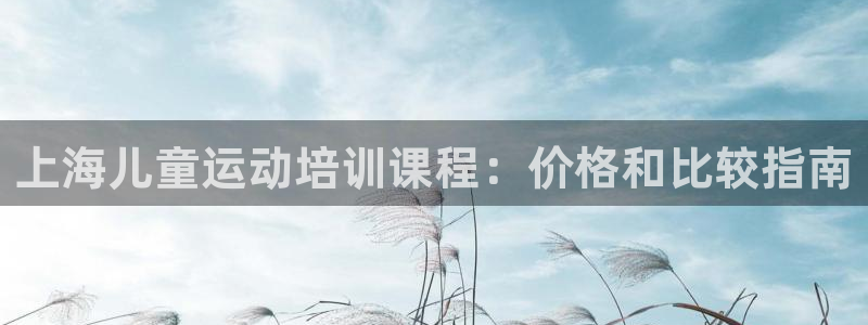 欧陆娱乐会员多少钱：上海儿童运动培训课程：价格和比较