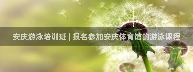 欧陆娱乐脚本怎么下载：安庆游泳培训班 | 报名参加安