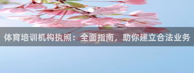 欧陆娱乐不让提现吗：体育培训机构执照：全面指南，助你