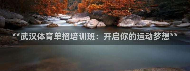 欧陆娱乐代理多少个点位：**武汉体育单招培训班：开启