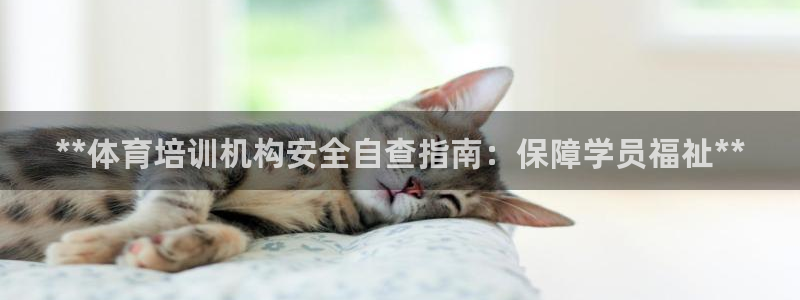 欧陆娱乐测试官网：**体育培训机构安全自查指南：保障