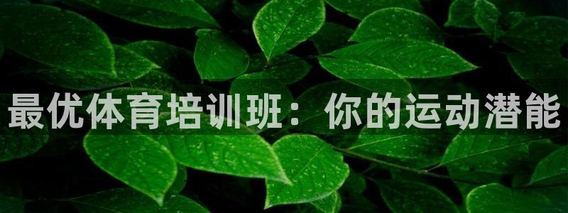 欧陆娱乐客服人工电话：最优体育培训班：你的运动潜能