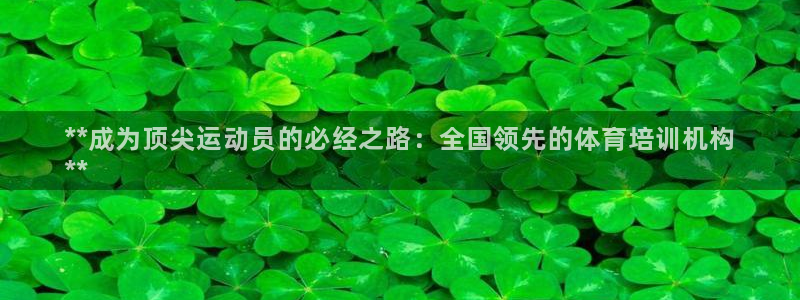 欧陆娱乐登录测速：**成为顶尖运动员的必经之路：全国