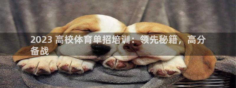 欧陆娱乐官网下载安装最新版：2023 高校体育单招培