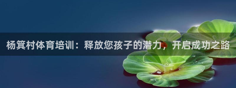 欧陆娱乐里面怎么看打排五：杨箕村体育培训：释放您孩子