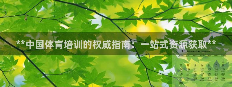 欧陆娱乐平台登录不上去：**中国体育培训的权威指南：
