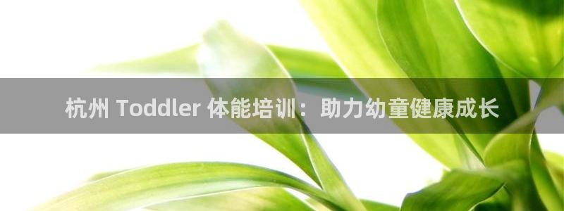 欧陆娱乐登录测速软件