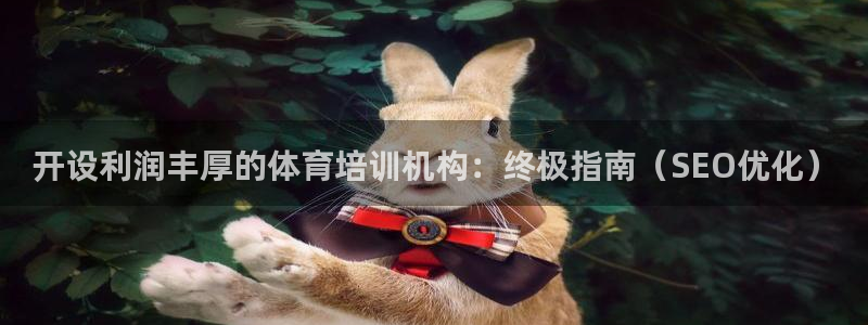 欧陆娱乐百科大全：开设利润丰厚的体育培训机构：终极指