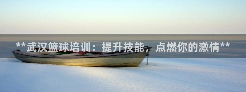欧陆娱乐百科官网：**武汉篮球培训：提升技能，点燃你