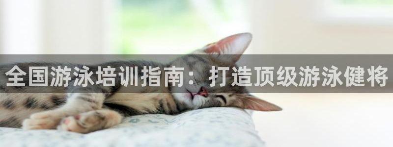 欧陆娱乐挂机项目有哪些：全国游泳培训指南：打造顶级游