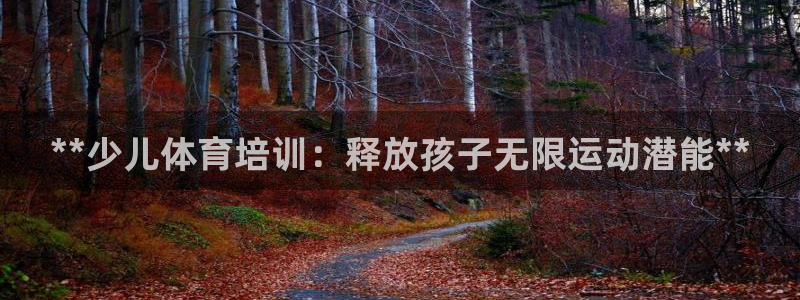 欧陆娱乐挂机项目怎么设置：**少儿体育培训：释放孩子