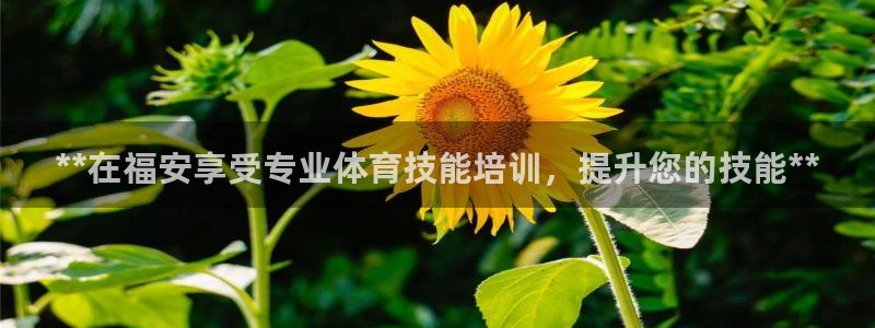 欧陆娱乐是资金盘吗：**在福安享受专业体育技能培训，
