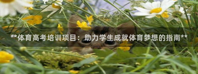 欧陆娱乐客服电话号码：**体育高考培训项目：助力学生