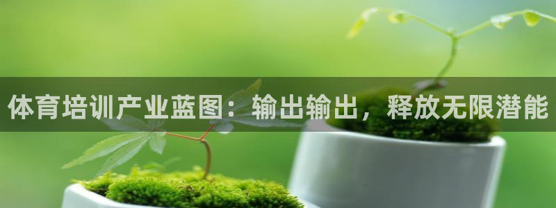 欧陆娱乐客服服务电话：体育培训产业蓝图：输出输出，释