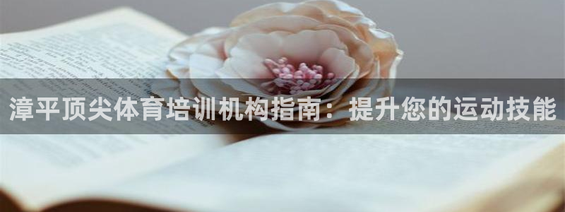 欧陆游戏平台：漳平顶尖体育培训机构指南：提升您的运动
