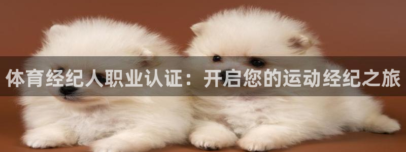 欧陆娱乐是正规平台吗安全吗可靠吗知乎：体育经纪人职业