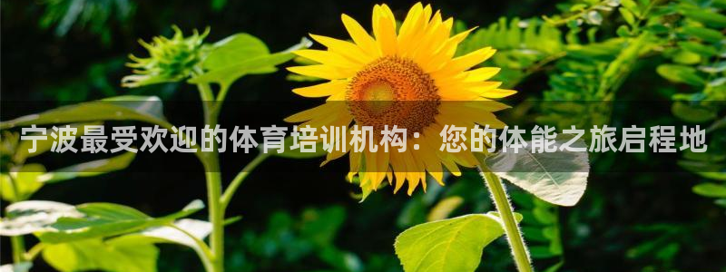 欧陆娱乐请输入USDT地址：宁波最受欢迎的体育培训机