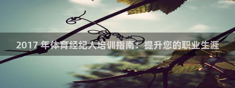 欧陆娱乐登录官网入口：2017 年体育经纪人培训指南