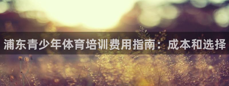 欧陆游戏平台：浦东青少年体育培训费用指南：成本和选择