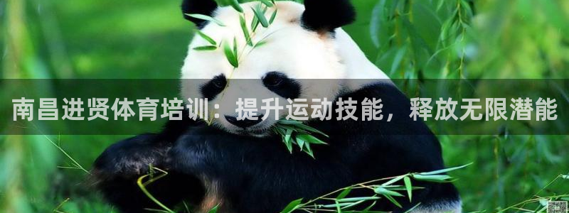 欧陆娱乐打什么方案赚钱：南昌进贤体育培训：提升运动技