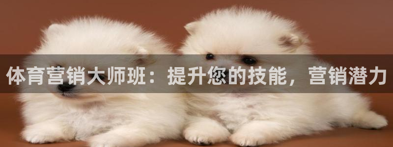 欧陆娱乐官网网址是多少：体育营销大师班：提升您的技能