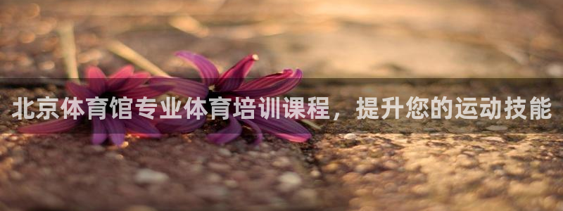 欧陆娱乐信誉吗：北京体育馆专业体育培训课程，提升您的