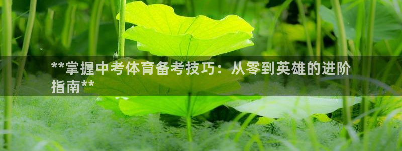 欧陆娱乐官方客服电话：**掌握中考体育备考技巧：从零