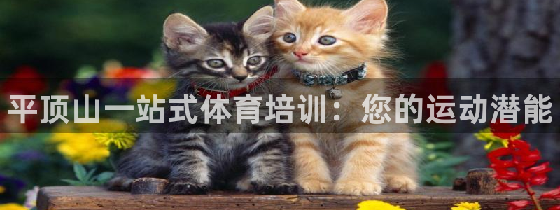 欧陆娱乐计划app官方正版安装下载苹果：平顶山一站式