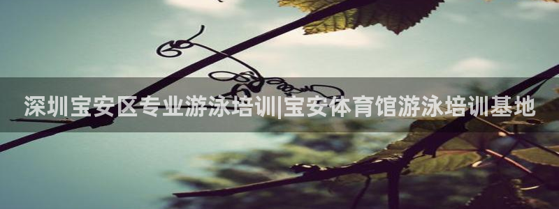欧陆娱乐平台官网下载：深圳宝安区专业游泳培训|宝安体