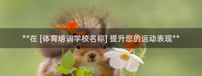 欧陆娱乐注册链接安全吗知乎：**在 [体育培训学校名