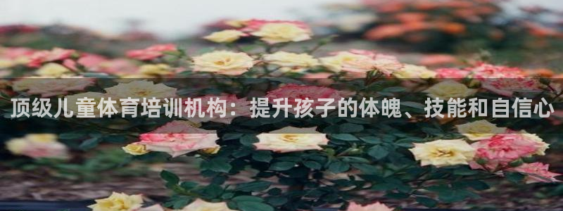 欧陆娱乐挂机项目怎么弄：顶级儿童体育培训机构：提升孩