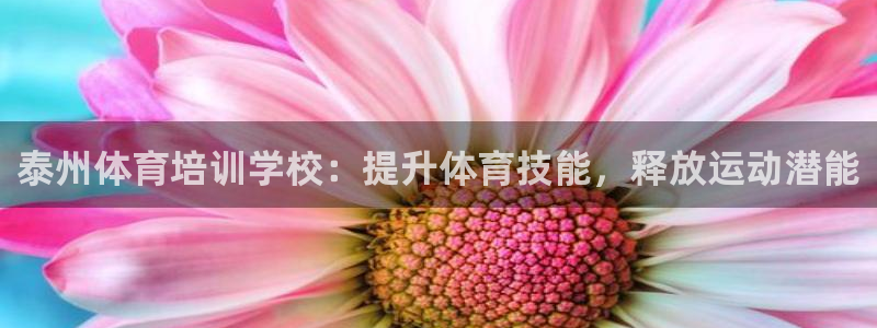 欧陆娱乐脚本下载：泰州体育培训学校：提升体育技能，释