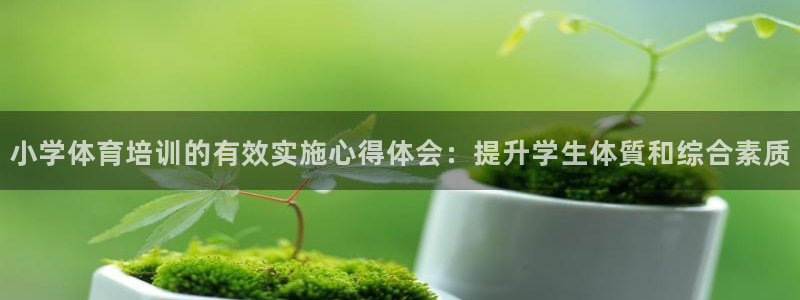 欧陆娱乐中国：小学体育培训的有效实施心得体会：提升学