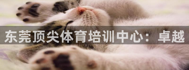 欧陆娱乐客服服务怎么样：东莞顶尖体育培训中心：卓越