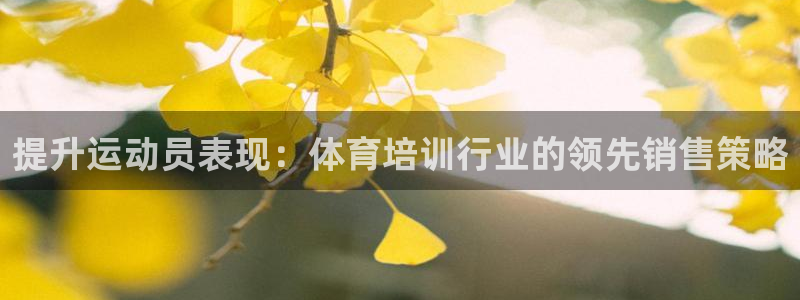 欧陆娱乐平台登录不上怎么回事：提升运动员表现：体育培