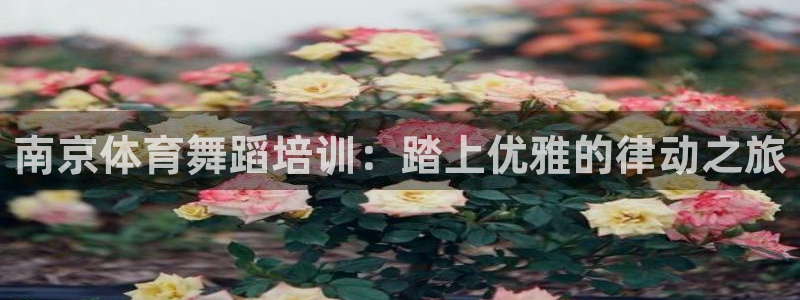 欧陆娱乐官网首页网址：南京体育舞蹈培训：踏上优雅的律
